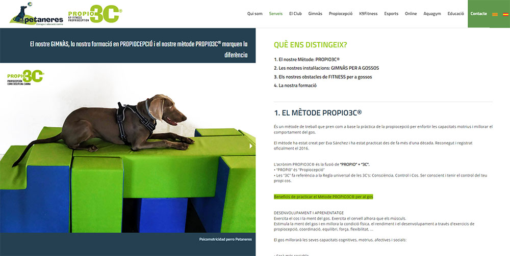 Dise&ntilde;o web Barcelona - Servicios caninos Petaneres