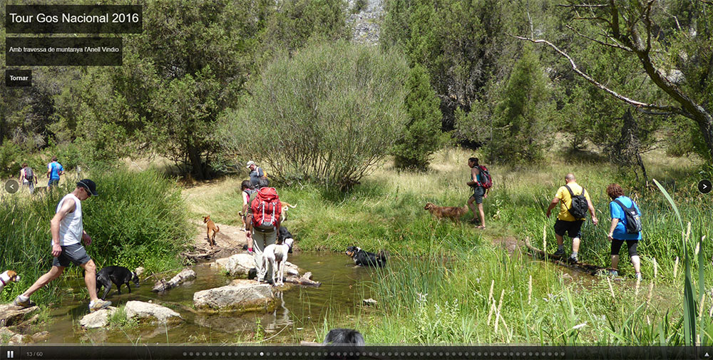 Dise&ntilde;o web de galer&iacute;a de im&aacute;genes a pantalla completa